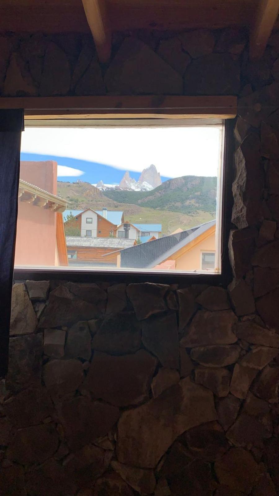 Guanaca * El Chaltén