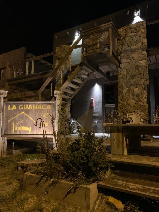 Guanaca * El Chalten